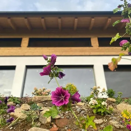 Bergchaletweitblick Dağ evi Grainet