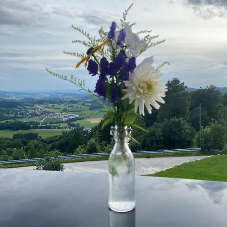 Alpehytte Bergchaletweitblick Grainet