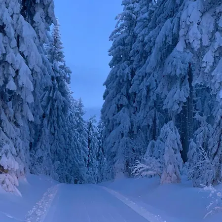 Dağ evi Bergchaletweitblick Grainet