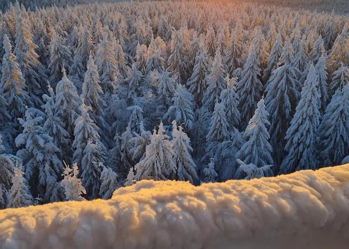 Bergchaletweitblick * Grainet