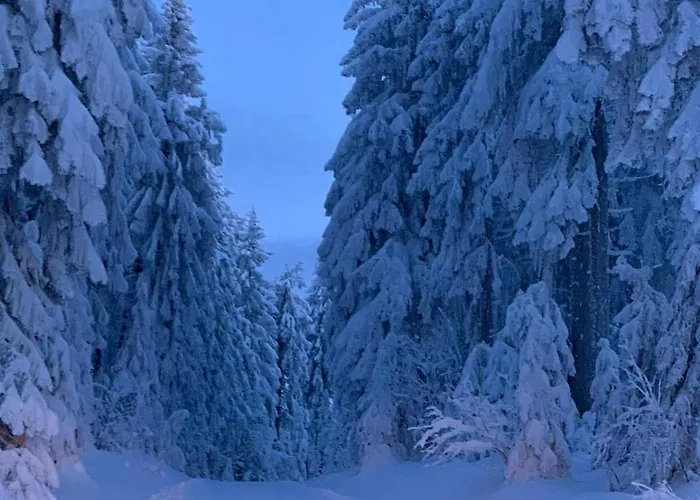 Chalet Bergchaletweitblick Grainet